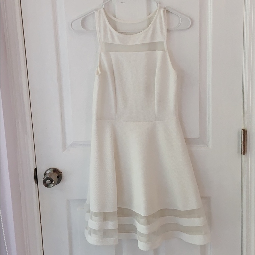 Monteau Mesh White Skater Dress
